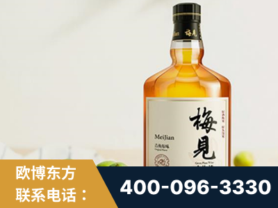 丹阳-梅见青梅酒