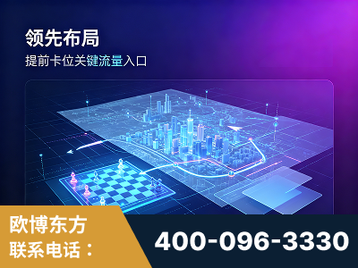丹阳-领先布局：于2024年初开启GEO业务的公司